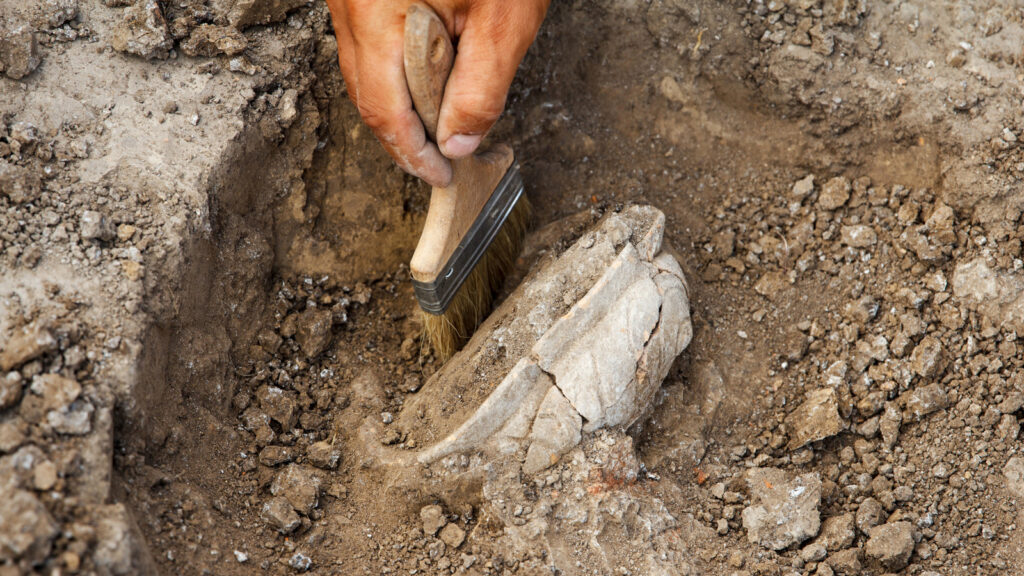 Ancient Building Hidden Thousands Of Years Discovered Under A French Parking Lot
