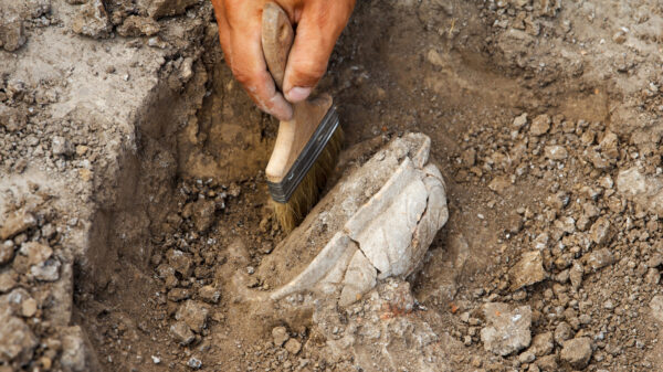 Ancient Building Hidden Thousands Of Years Discovered Under A French Parking Lot