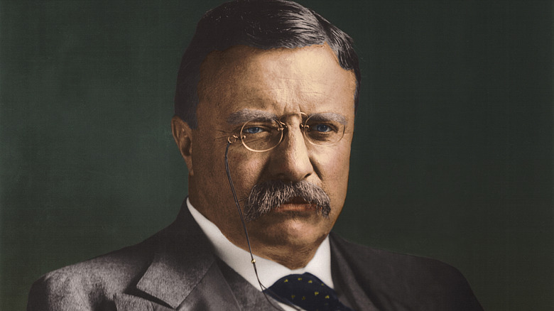 retrato de Theodore Roosevelt