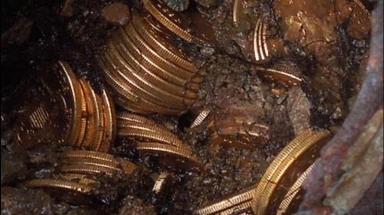 monedas de oro encontradas en la reserva Saddle Ridge en 2014