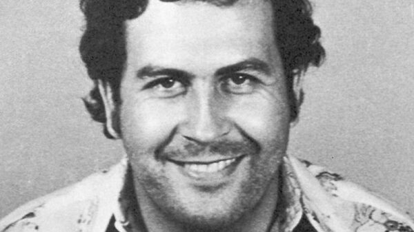Cómo los hipopótamos de Escobar están arruinando Colombia