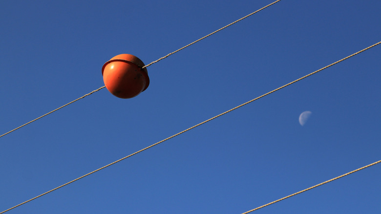 desmentir conspiraciones sobre bolas en líneas eléctricas
