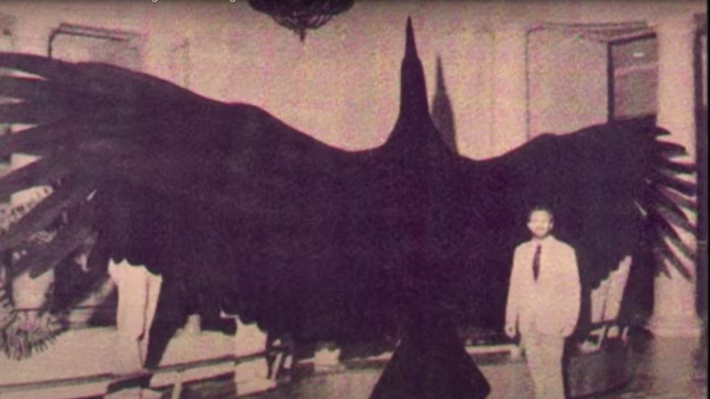 Argentavis en vuelo