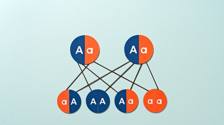 Árbol genealógico de la familia Whittaker