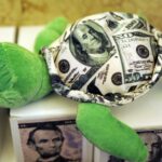 La tortuga más cara del mundo: la especie de Yunnan