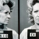 Las Veuves Negras Más Infames en la Historia