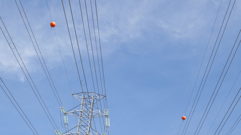 ¿Para qué sirven las bolas naranjas en las líneas eléctricas?
