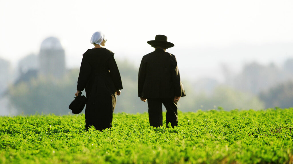 Por qué Muchos Amish No Tienen Número de Seguridad Social en EE. UU.