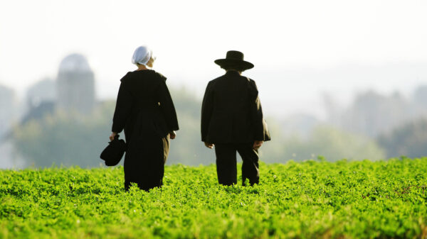 Por qué Muchos Amish No Tienen Número de Seguridad Social en EE. UU.