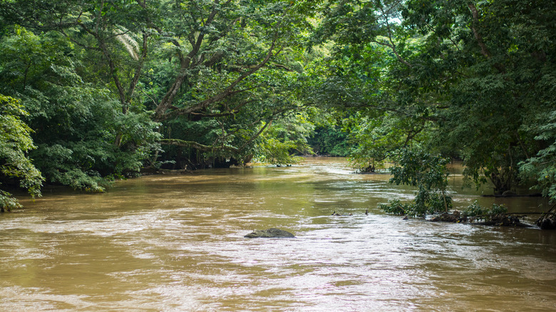 Río Osun
