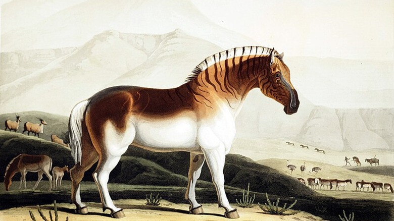 Ilustración del quagga en paisaje africano con otros animales