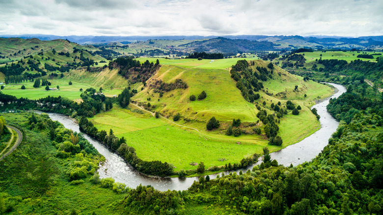 Río Whanganui