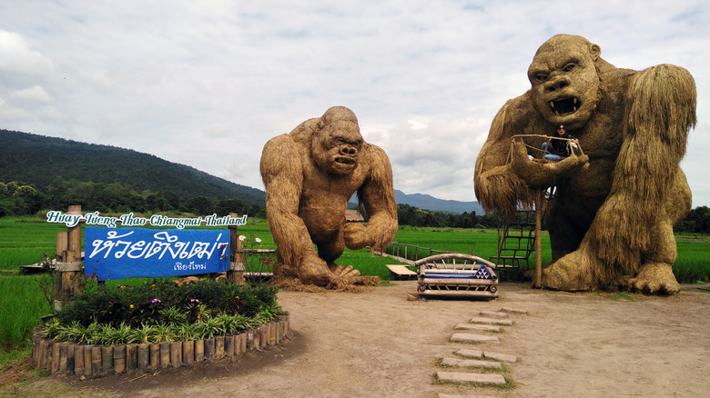Estatuas de King Kong en reserva natural
