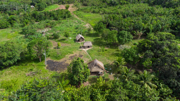 Tribus que Viven Sin Contacto Con El Exterior En La Selva