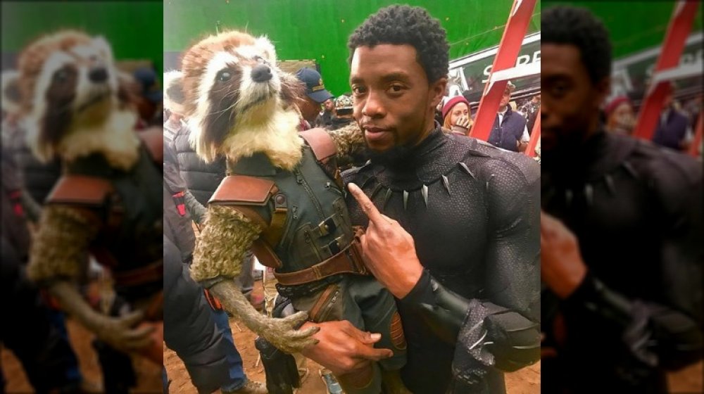 Rocket raccoon en el set