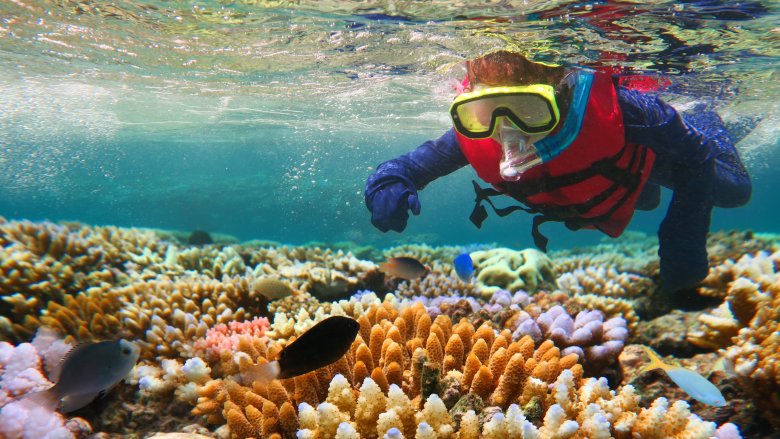Gran Barrera de Coral en Australia