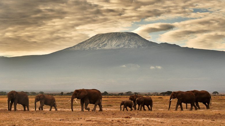 Monte Kilimanjaro