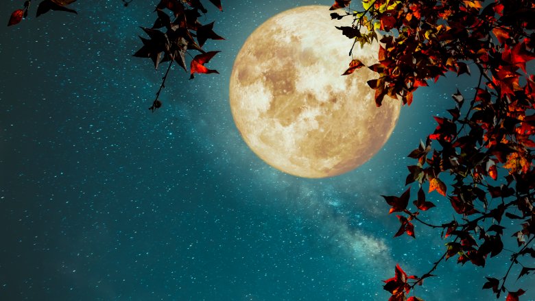 Creencias sobre la luna llena y la salud mental